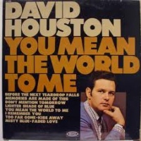 David Houston - You Mean The World To Me